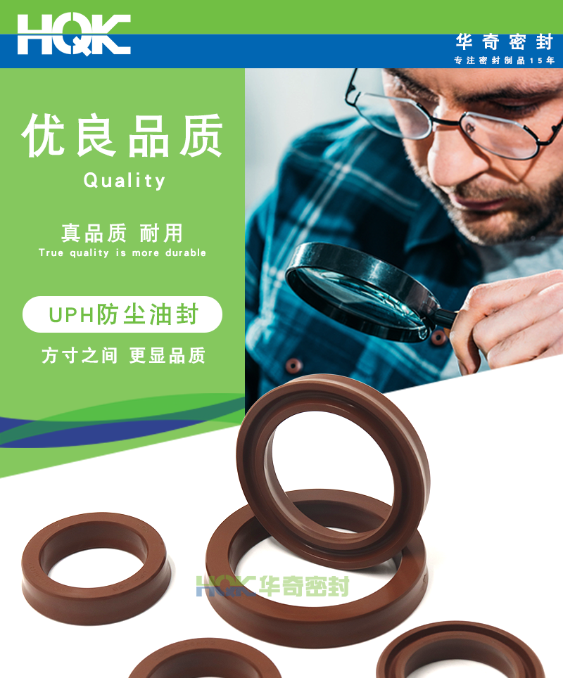 UPH氟膠(jiāo)防(fáng)塵油封(fēng)詳情_01