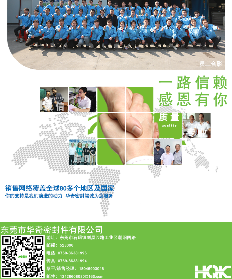 UPH氟膠防塵油封詳情_10