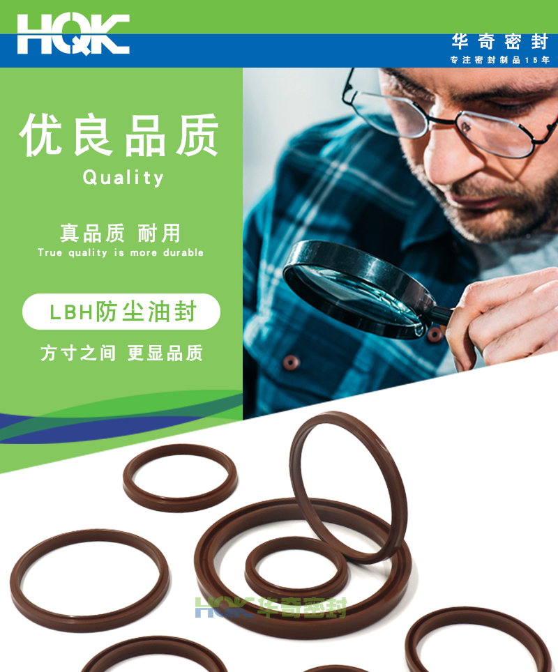 LBH氟膠防塵油封詳情(qíng)_01